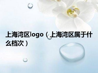 上海湾区logo（上海湾区属于什么档次）