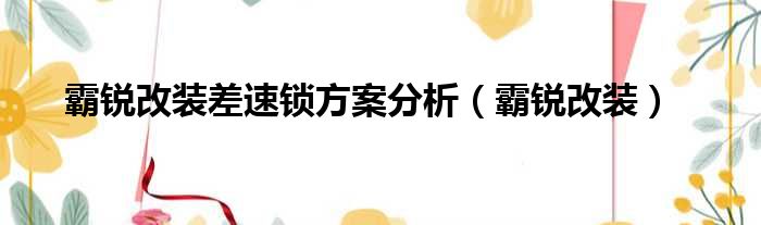 霸锐改装差速锁方案分析（霸锐改装）