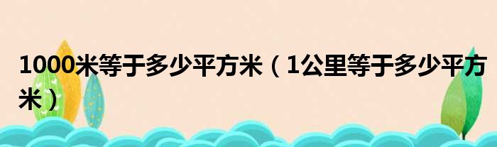 1000米等于多少平方米（1公里等于多少平方米）