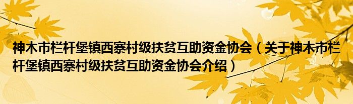  神木市栏杆堡镇西寨村级扶贫互助资金协会（关于神木市栏杆堡镇西寨村级扶贫互助资金协会介绍）