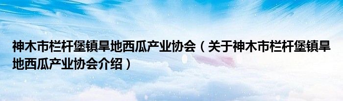  神木市栏杆堡镇旱地西瓜产业协会（关于神木市栏杆堡镇旱地西瓜产业协会介绍）