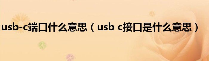  usb-c端口什么意思（usb c接口是什么意思）