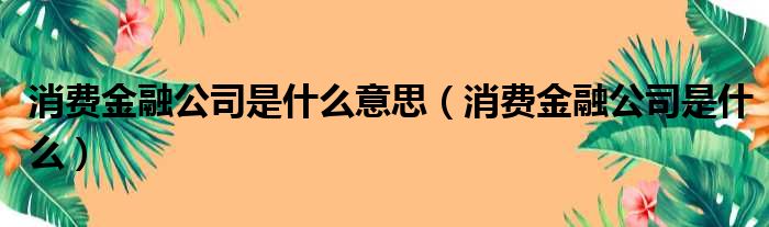 消费金融公司是什么意思（消费金融公司是什么）