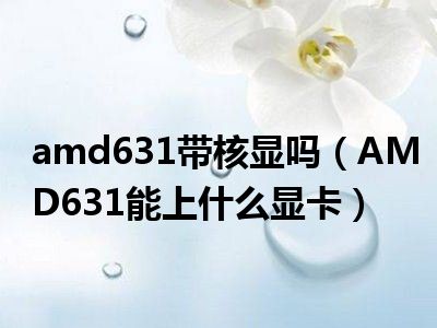 amd631带核显吗（AMD631能上什么显卡）