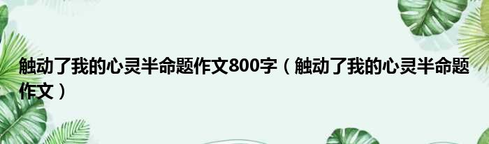 触动了我的心灵半命题作文800字（触动了我的心灵半命题作文）