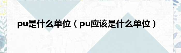 pu是什么单位（pu应该是什么单位）