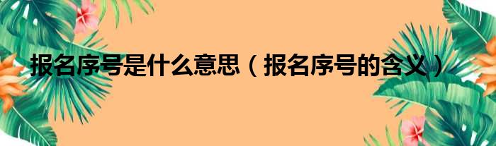 报名序号是什么意思（报名序号的含义）