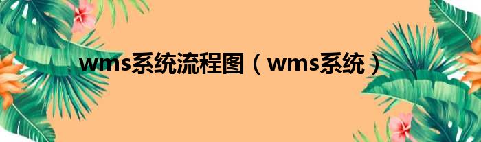 wms系统流程图（wms系统）