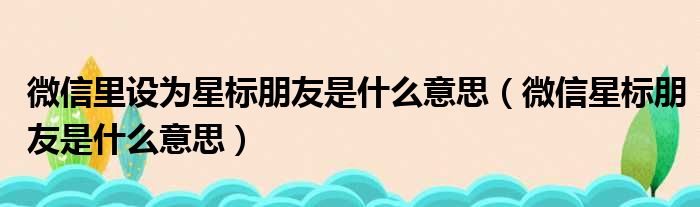 微信里设为星标朋友是什么意思（微信星标朋友是什么意思）