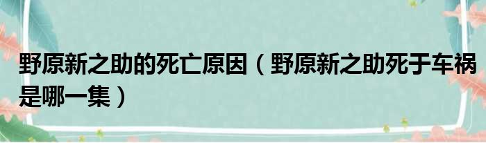 野原新之助的死亡原因（野原新之助死于车祸是哪一集）