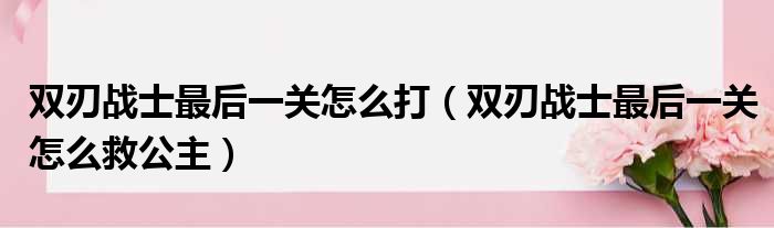 双刃战士最后一关怎么打（双刃战士最后一关怎么救公主）