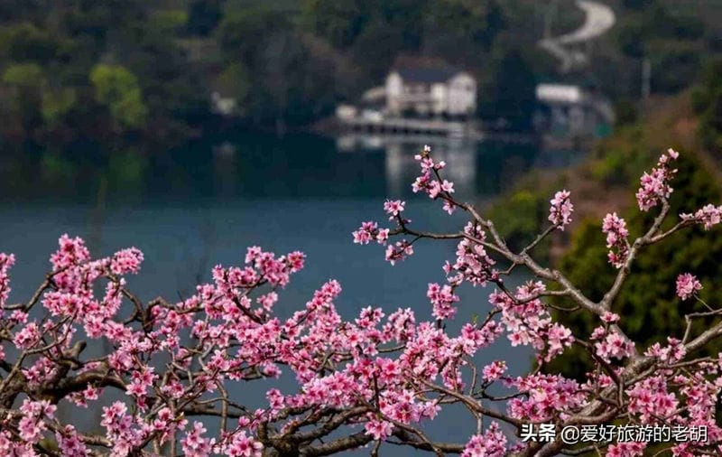 娄底水府庙风景区（湖南水府庙属于哪个市）(图6)