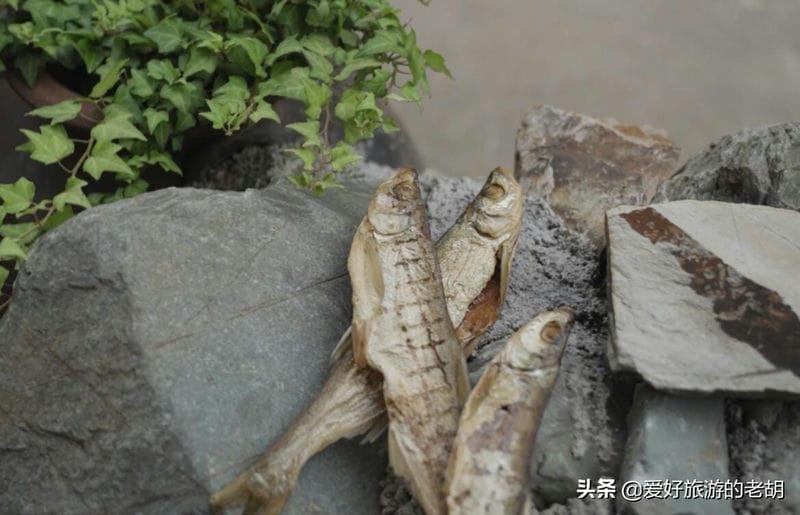 娄底水府庙风景区（湖南水府庙属于哪个市）(图8)