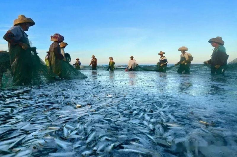 中国四大海域中,面积最大的是-（我国面积最大的海域是哪里）(图6)