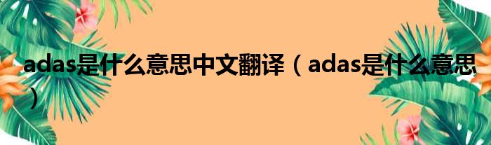 adas是什么意思中文翻译（adas是什么意思）