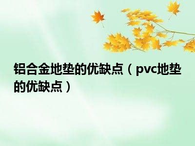 铝合金地垫的优缺点（pvc地垫的优缺点）