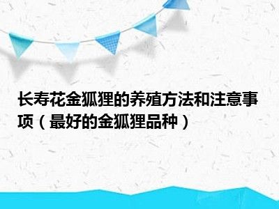 长寿花金狐狸的养殖方法和注意事项（最好的金狐狸品种）