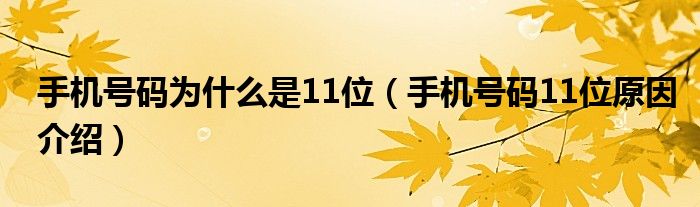 手机号码为什么是11位（手机号码11位原因介绍）