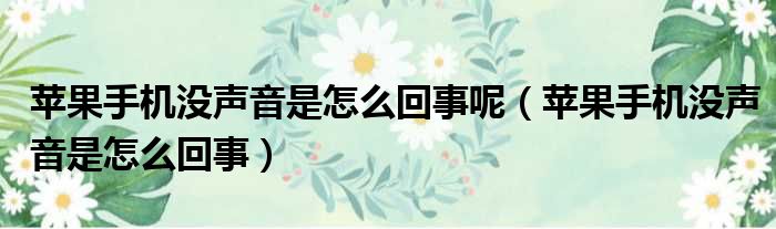 苹果手机没声音是怎么回事呢（苹果手机没声音是怎么回事）