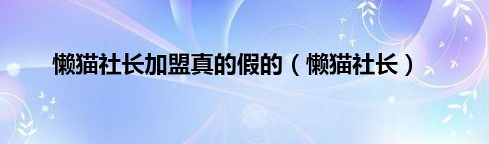 懒猫社长加盟真的假的（懒猫社长）