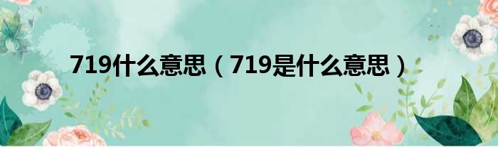 719什么意思（719是什么意思）