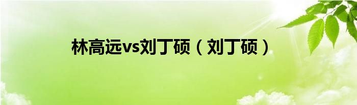  林高远vs刘丁硕（刘丁硕）