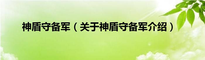  神盾守备军（关于神盾守备军介绍）