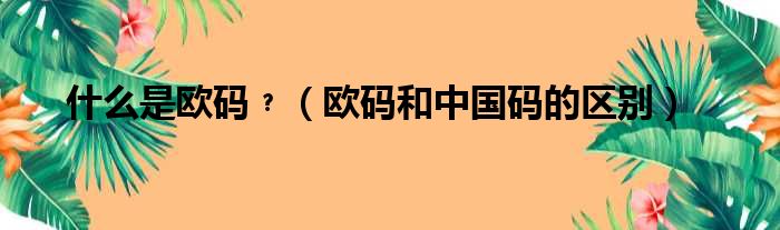 什么是欧码﹖（欧码和中国码的区别）