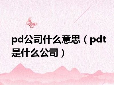 pd公司什么意思（pdt是什么公司）