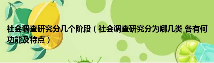 社会调查研究分几个阶段（社会调查研究分为哪几类 各有何功能及特点）