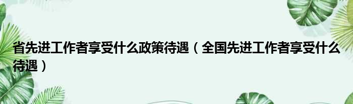 省先进工作者享受什么政策待遇（全国先进工作者享受什么待遇）