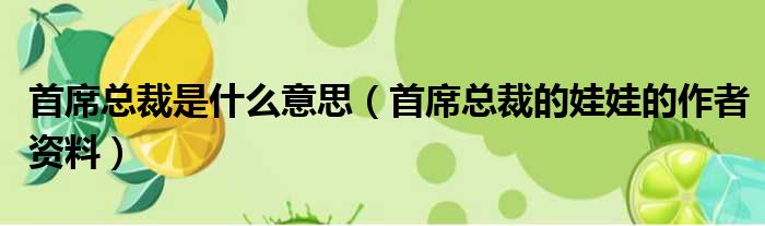 首席总裁是什么意思（首席总裁的娃娃的作者资料）