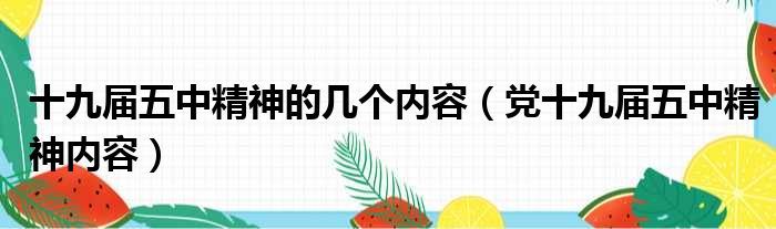 十九届五中精神的几个内容（党十九届五中精神内容）