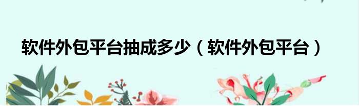 软件外包平台抽成多少（软件外包平台）