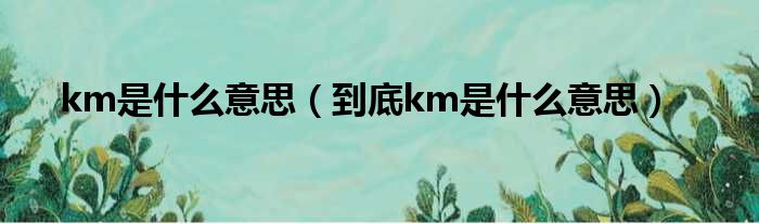 km是什么意思（到底km是什么意思）