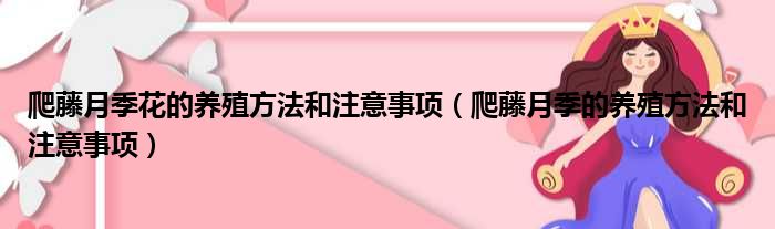 爬藤月季花的养殖方法和注意事项（爬藤月季的养殖方法和注意事项）