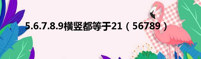 5.6.7.8.9横竖都等于21（56789）