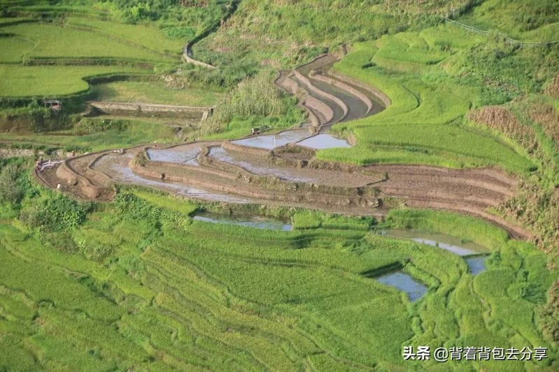 云南哪些旅游景点好玩（云南有什么好玩的地方景点推荐）(图8)