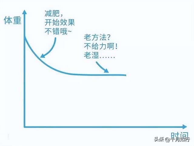 突破减肥平台期的表现（减肥平台期突破的征兆）(图4)