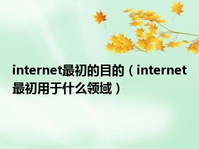 internet最初的目的（internet最初用于什么领域）