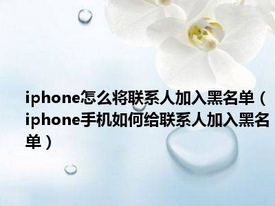 iphone怎么将联系人加入黑名单（iphone手机如何给联系人加入黑名单）