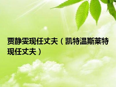 贾静雯现任丈夫（凯特温斯莱特现任丈夫）