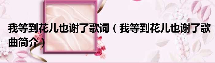 我等到花儿也谢了歌词（我等到花儿也谢了歌曲简介）