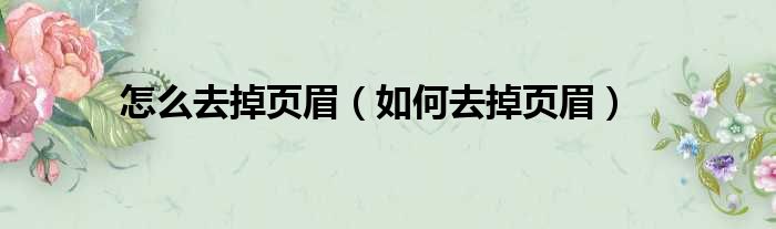 怎么去掉页眉（如何去掉页眉）