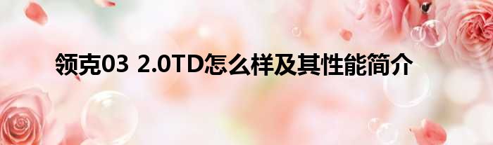 领克03 2.0TD怎么样及其性能简介