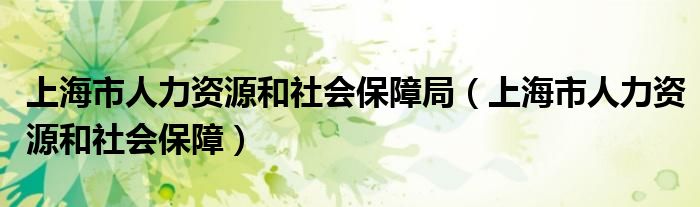 上海市人力资源和社会保障局（上海市人力资源和社会保障）