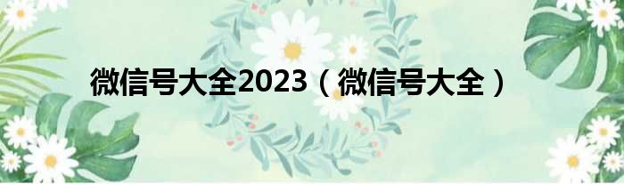 微信号大全2023（微信号大全）