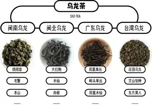 乌龙茶的产地及代表茶（乌龙茶产地及代表茶）(图4)