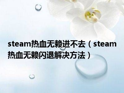 steam热血无赖进不去（steam热血无赖闪退解决方法）