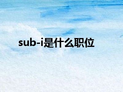 sub-i是什么职位